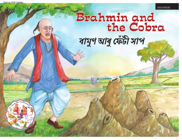 Brahmin and the Cobra